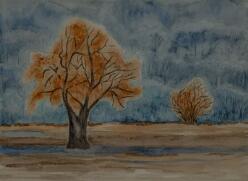 01-Abendstimmung J24-3350