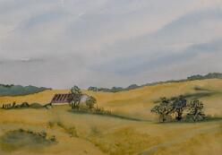 06-Landschaft-J25-7210