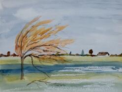 09-Im Herbstwind-J25-00621