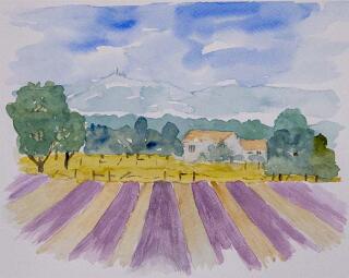 39 - Provence FR mit Mont Ventoux