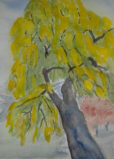 30 - Trauerweide 2021-1530