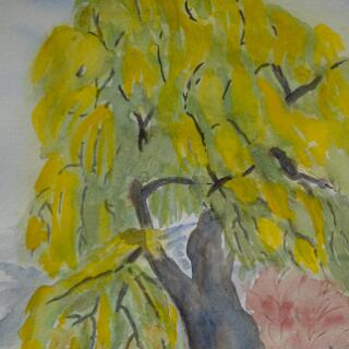 LAND-NATUR 2020-2021