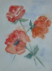 21 - Blüten J20-1525